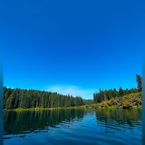 Meet your Posher, Raegan